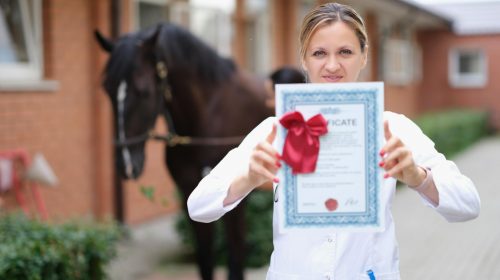 femme vétérinaire tenant son diplôme a l'arrière plan un cheval marron