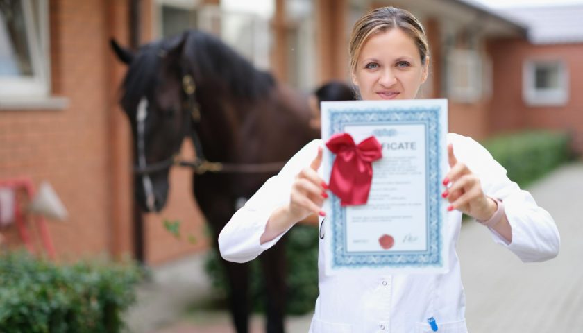 femme vétérinaire tenant son diplôme a l'arrière plan un cheval marron